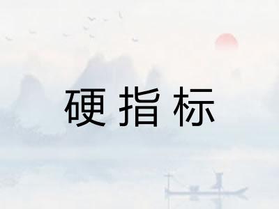 硬指标