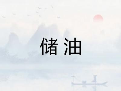 储油